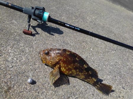 エギング＆穴釣り